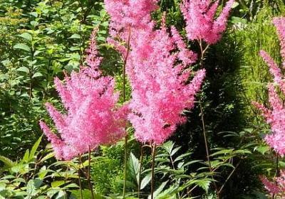 静静地类似词语(实用80句)