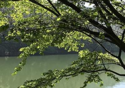 问组词有哪些词语(实用16句)