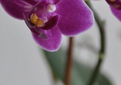 锤炼词语的方法(实用38句)