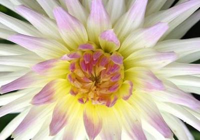 海底两万里名言(优选50句) 海底两万里名言(优选50句)