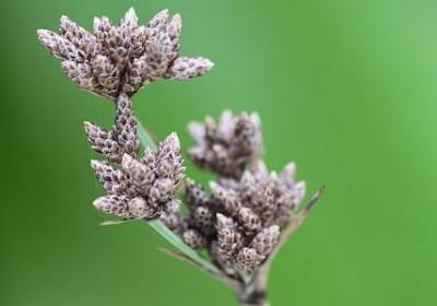 身体歪斜脚步不稳词语(通用70句)