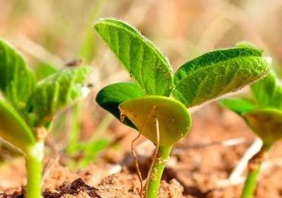 阴险的笑的词语(热门10句)