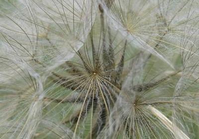 梦想的英语名言(精选80句)