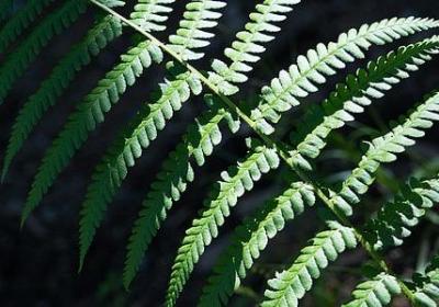 震组词语有哪些(必备24句)