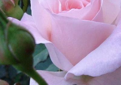 锦组词语有哪些(共61句) 锦组词语有哪些(共61句)