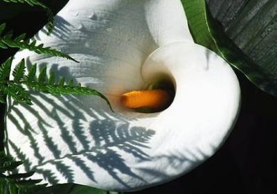 隐藏词语的意思(热门120句) 隐藏词语的意思(热门120句)