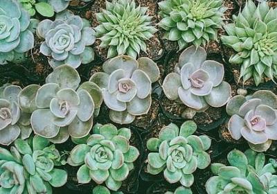 逢组什么词语(共100句) 逢组什么词语(共100句)