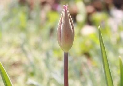 适能组什么词语(汇总30句) 适能组什么词语(汇总30句)