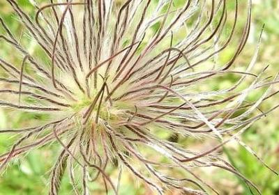 李嘉诚的经典名言(通用50句)