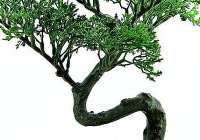 通能组什么词语(实用70句)