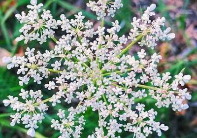 激发潜能的名言(优选60句)