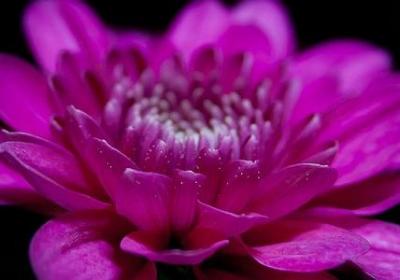 浪费时间的名言警句(推荐10句)