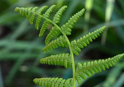 知与行的名言(汇总10句)