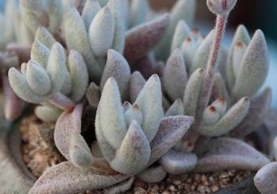 申论名言警句(合集100句)