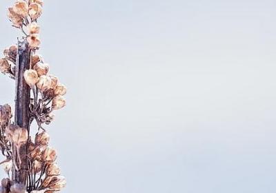 激励学生的名人名言(汇总49句)