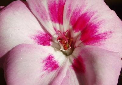 法律名人名言(共20句) 法律名人名言(共20句)