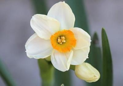 爱中国的名言(通用70句)