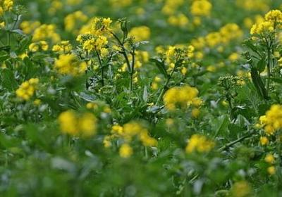 游戏里的名言(优选38句)