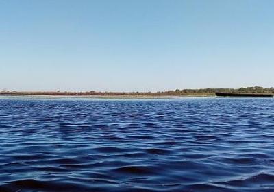 林海音的名言(通用40句)