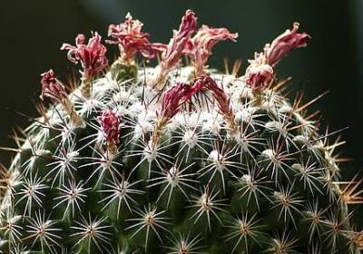 母爱名言名句(推荐20句)