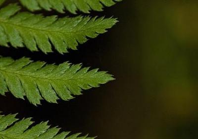 珍惜时间的名言(汇总80句)