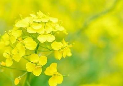 相信自己的名言(通用40句)