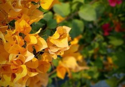 爱情名言名句优美句子(精选40句)