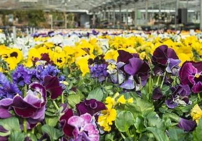 爱岗敬业名言(必备40句)