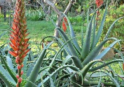 真相 名言(精选40句)