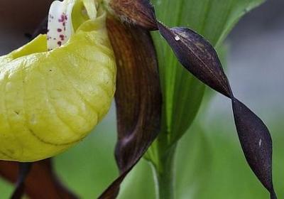 理想的名言警句(精选80句)