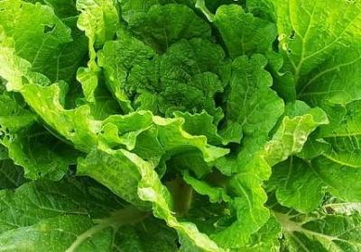 相信自己的名言警句(推荐77句)