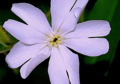 珍惜粮食的名言(热门20句)