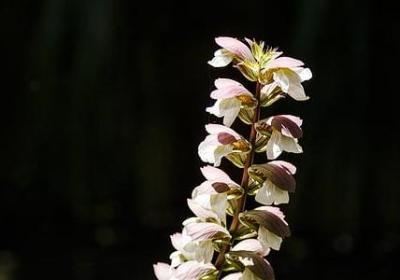 生命在于运动名言(推荐98句)