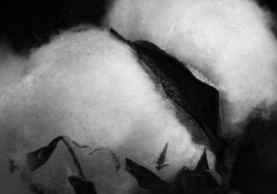 描述人多的词语(推荐60句)