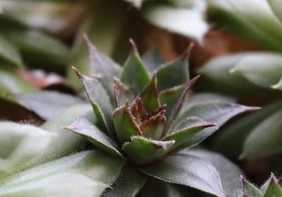 描写青春的词语(精选61句) 描写青春的词语(精选61句)