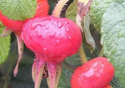 描述风景很美的词语(共40句) 描述风景很美的词语(共40句)