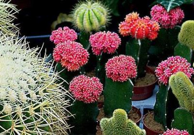 描写秋天的二字词语(通用18句) 描写秋天的二字词语(通用18句)