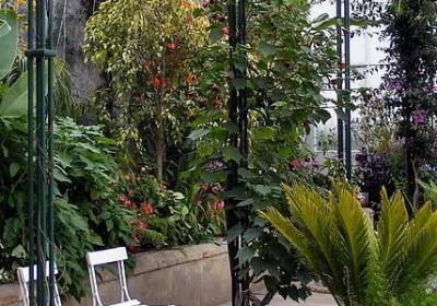 欢迎光临之类的词语(合集60句)