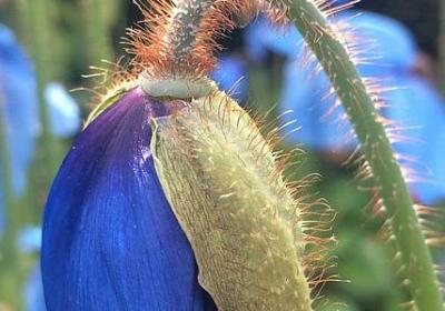 暗怎么组词语(合集60句)