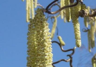 最什么最什么词语(优选20句)