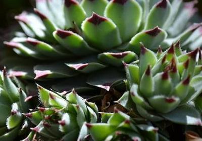 春天暖和的词语(推荐59句)