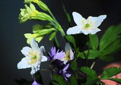 欣赏什么填词语(10句)