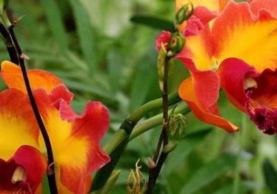 杰怎么组词语(精选60句)