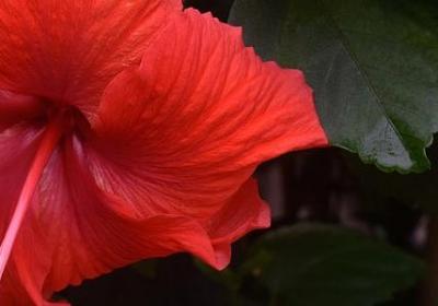 气冲冲照样子写词语(推荐60句)