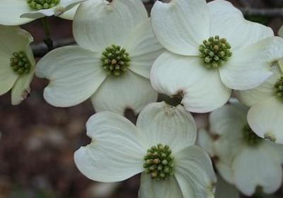 来去类似的词语(50句)