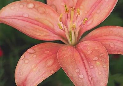 比较大气的词语(合集40句)