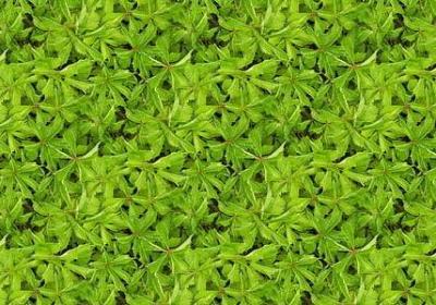 照样子写词语兴致勃勃(实用79句)