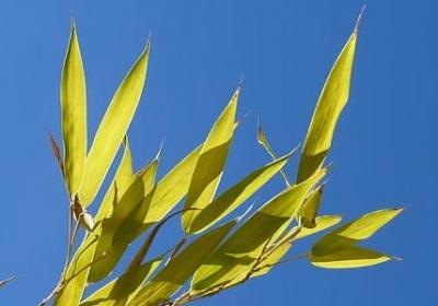 激励女人的正能量词语(热门50句)