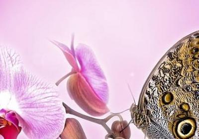 渐能组什么词语(优选51句)