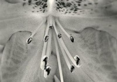 照样子写词语浩浩荡荡(精选51句)